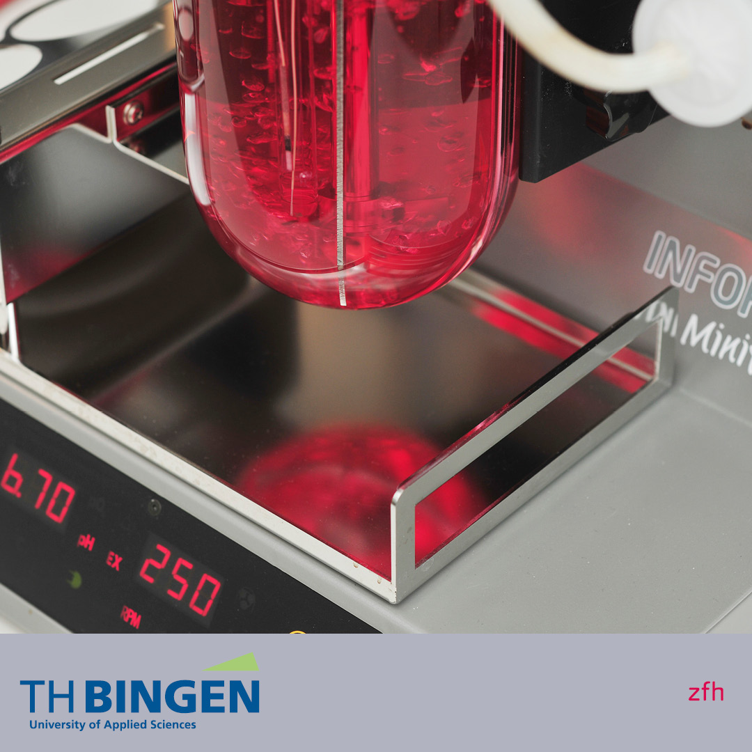 Laborversuch Fachbereich Medizinische Biotechnologie 